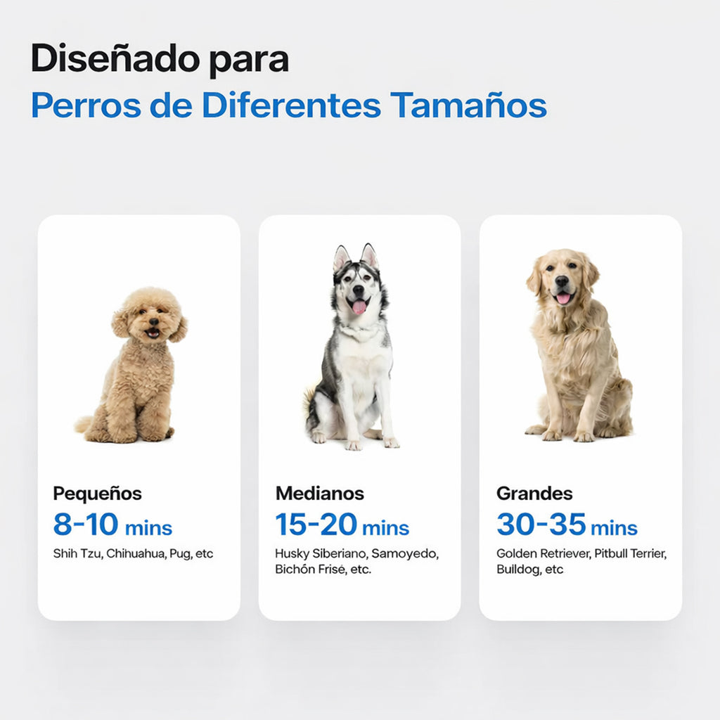 Secador De Pelo Para Perros Gatos 1300w Neakasa Silencioso